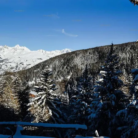 Chalet Vivet Gros - Chalets Pour 8 Personnes 301 Chalet La Plagne